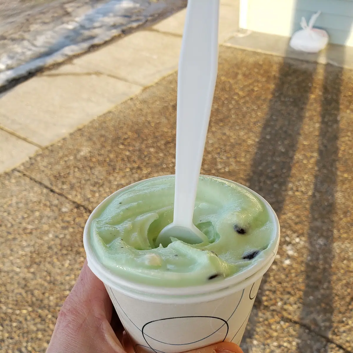 Mint Chocolate Chip