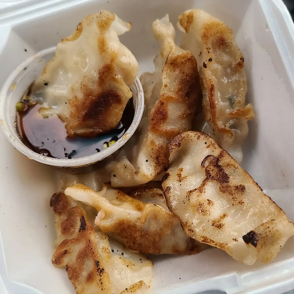 Gyoza