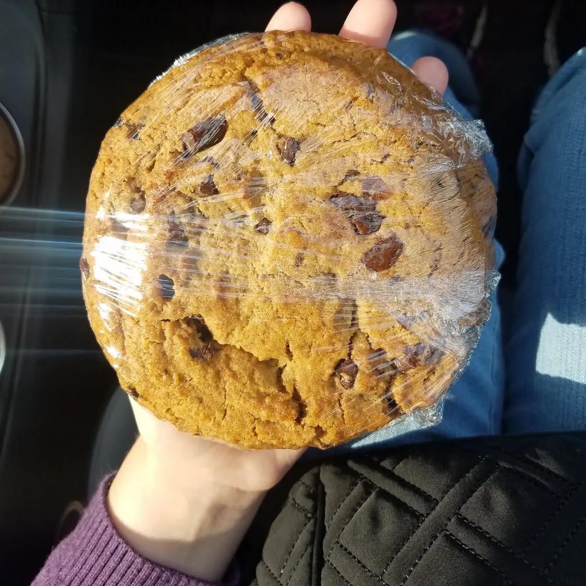 Chocolate Chip Cookie
