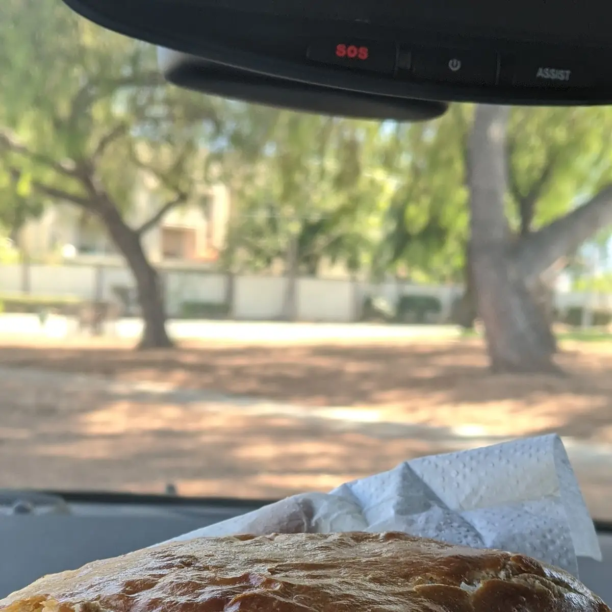 Beef Empanadas