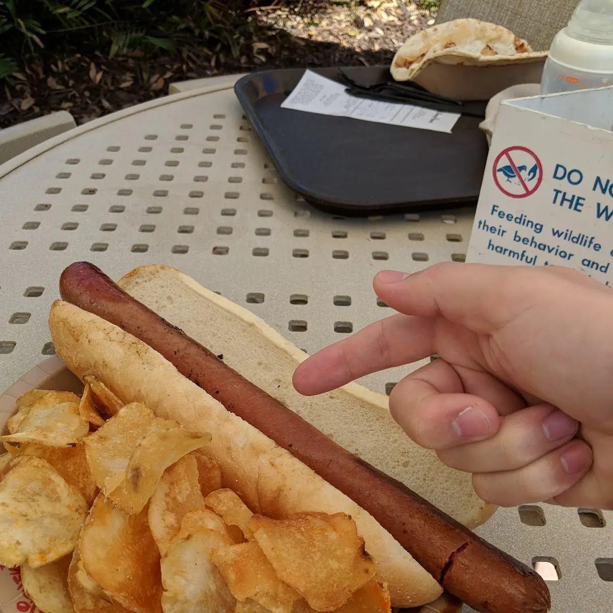 All-Beef Hot Dog