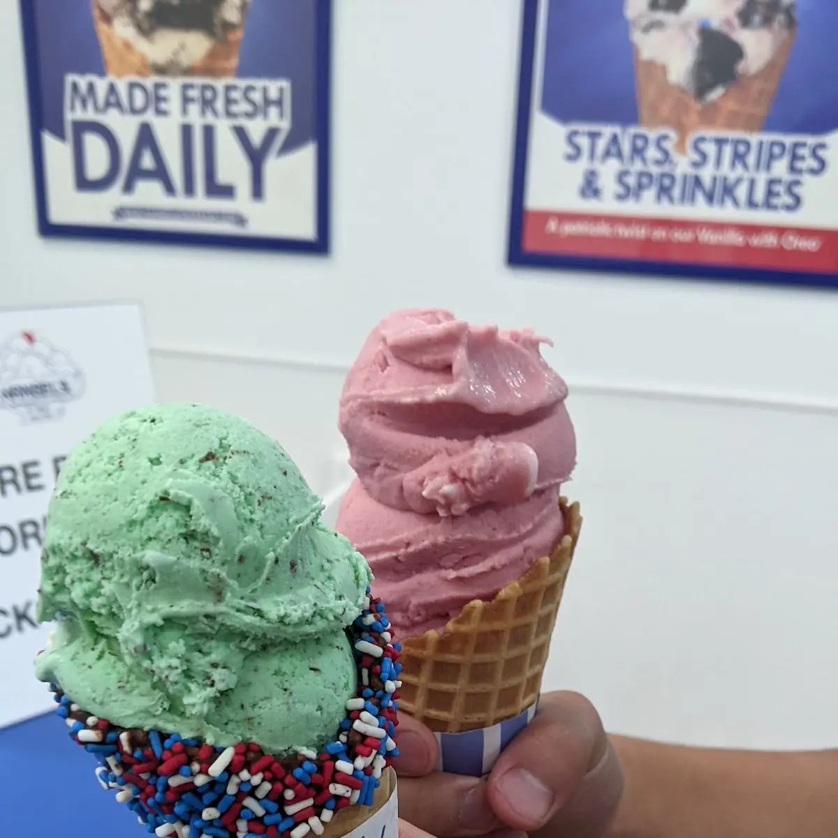 Single Scoop Mint Chocolate Chip in a Dipped Cone