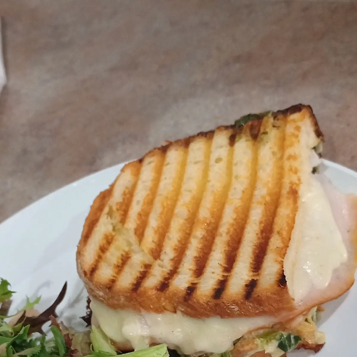 Spinach Artichoke Panini