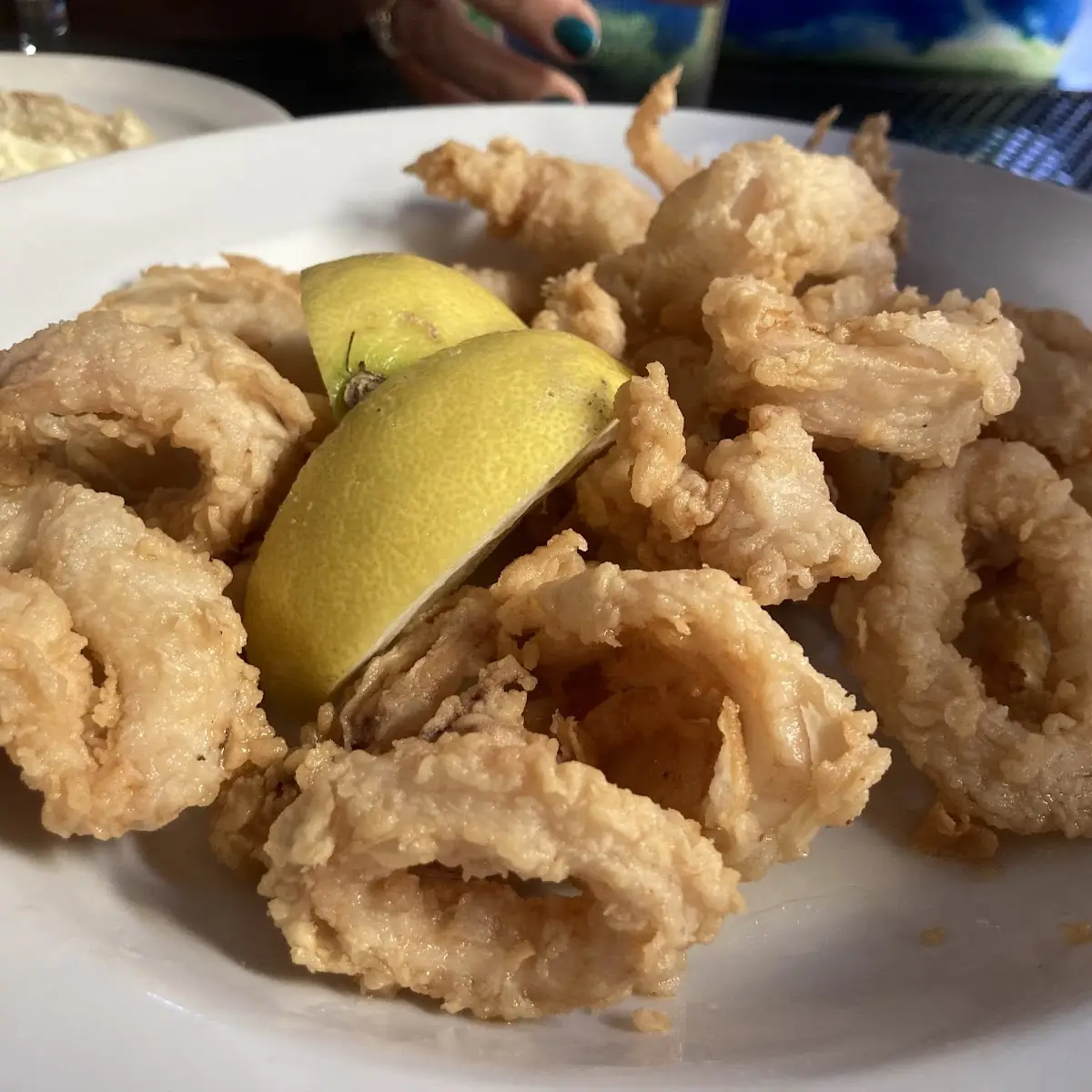 Fried Calamari
