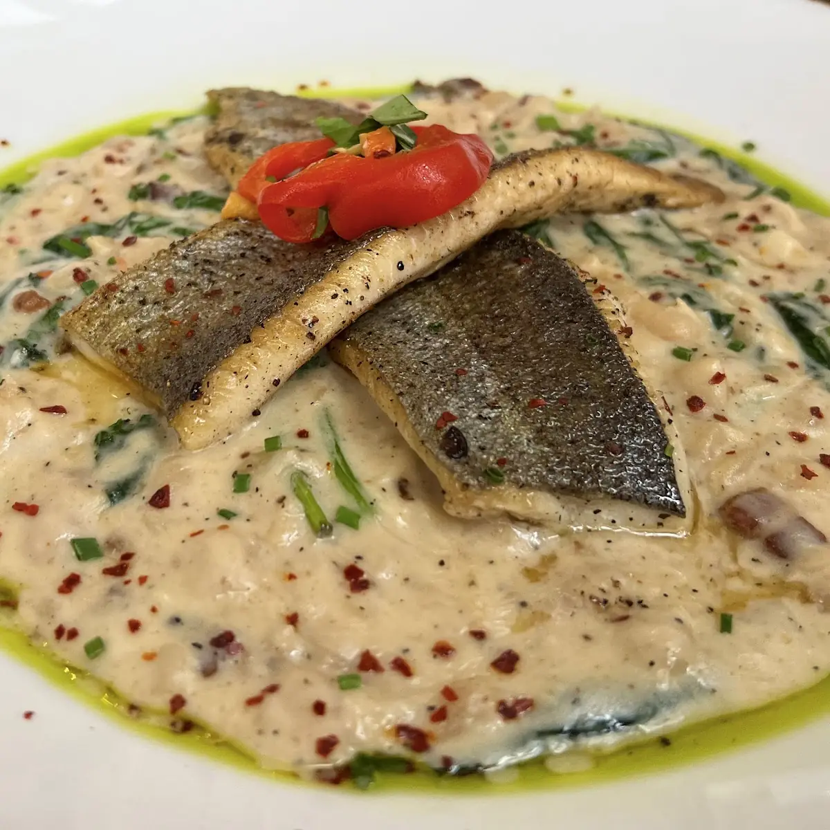 Sea Bass