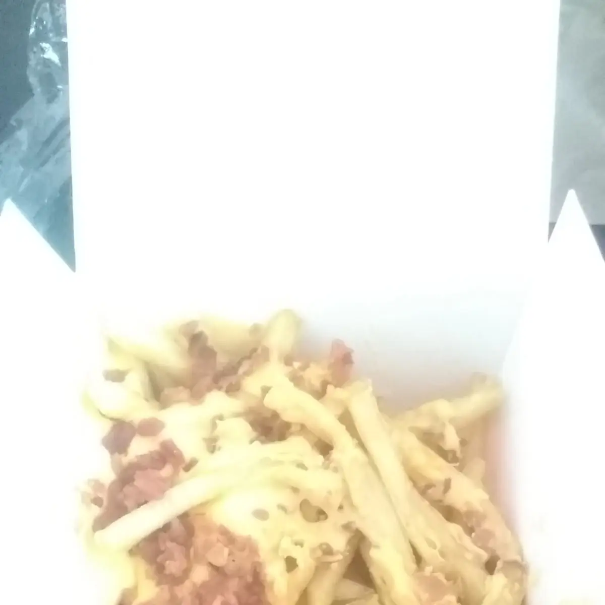 World Famous Fries