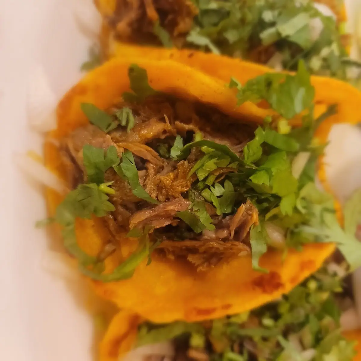 Casa Birria
