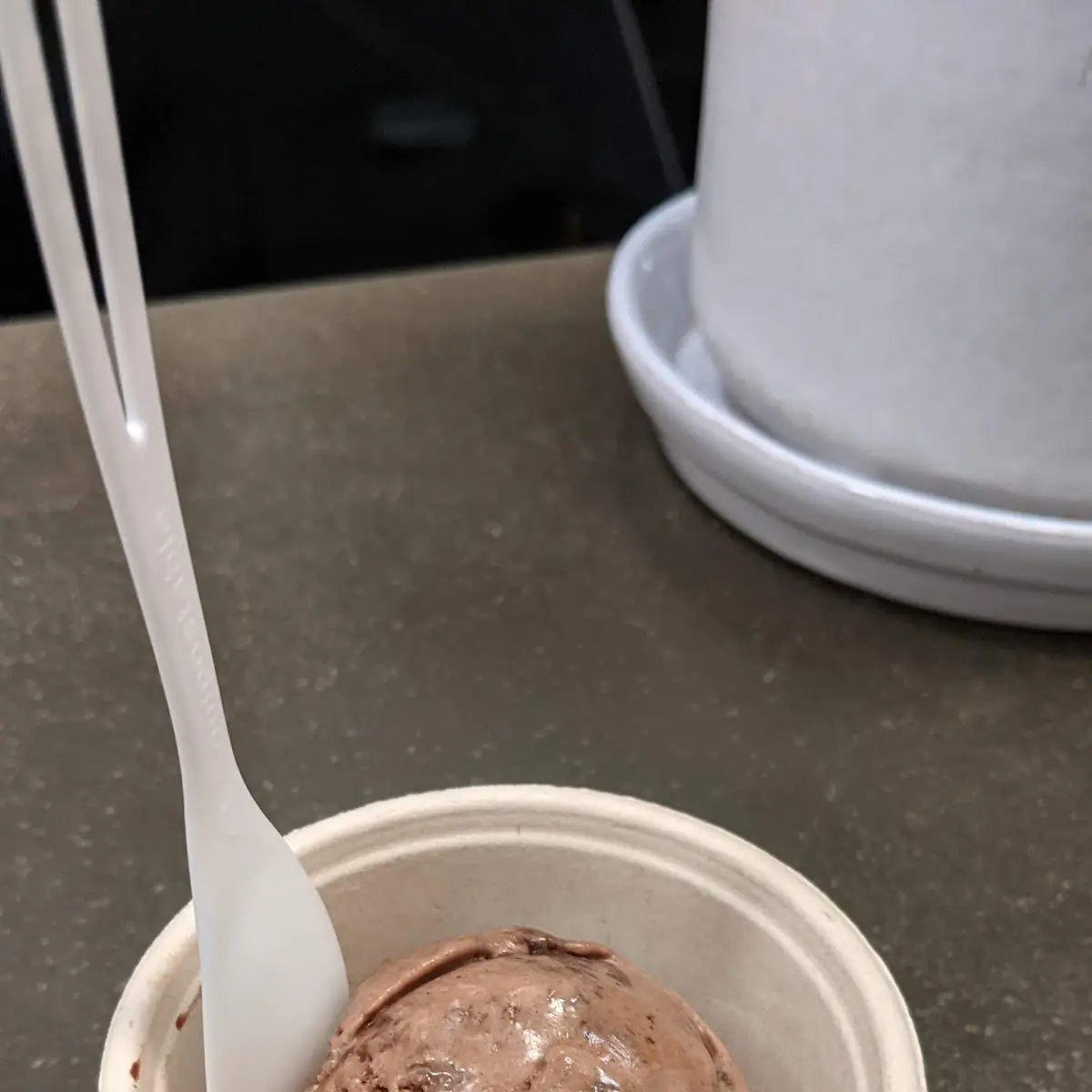 Tahini Chocolate Ice Cream