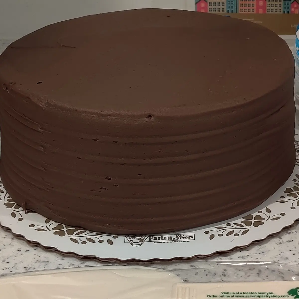 Double Layer Chocolate Cake