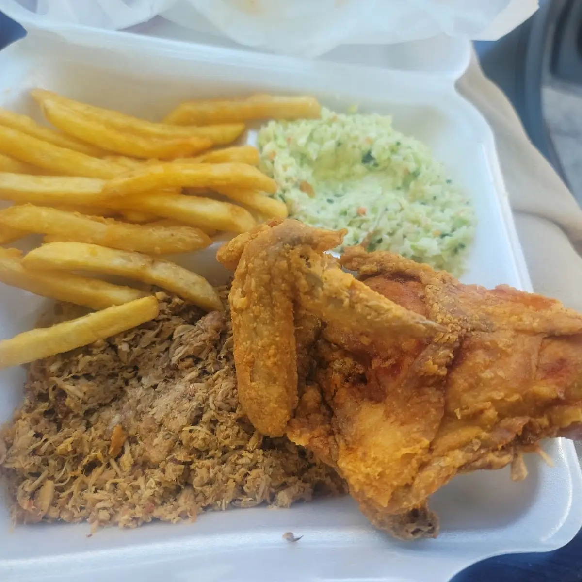 BBQ and Fried Chicken Plate
