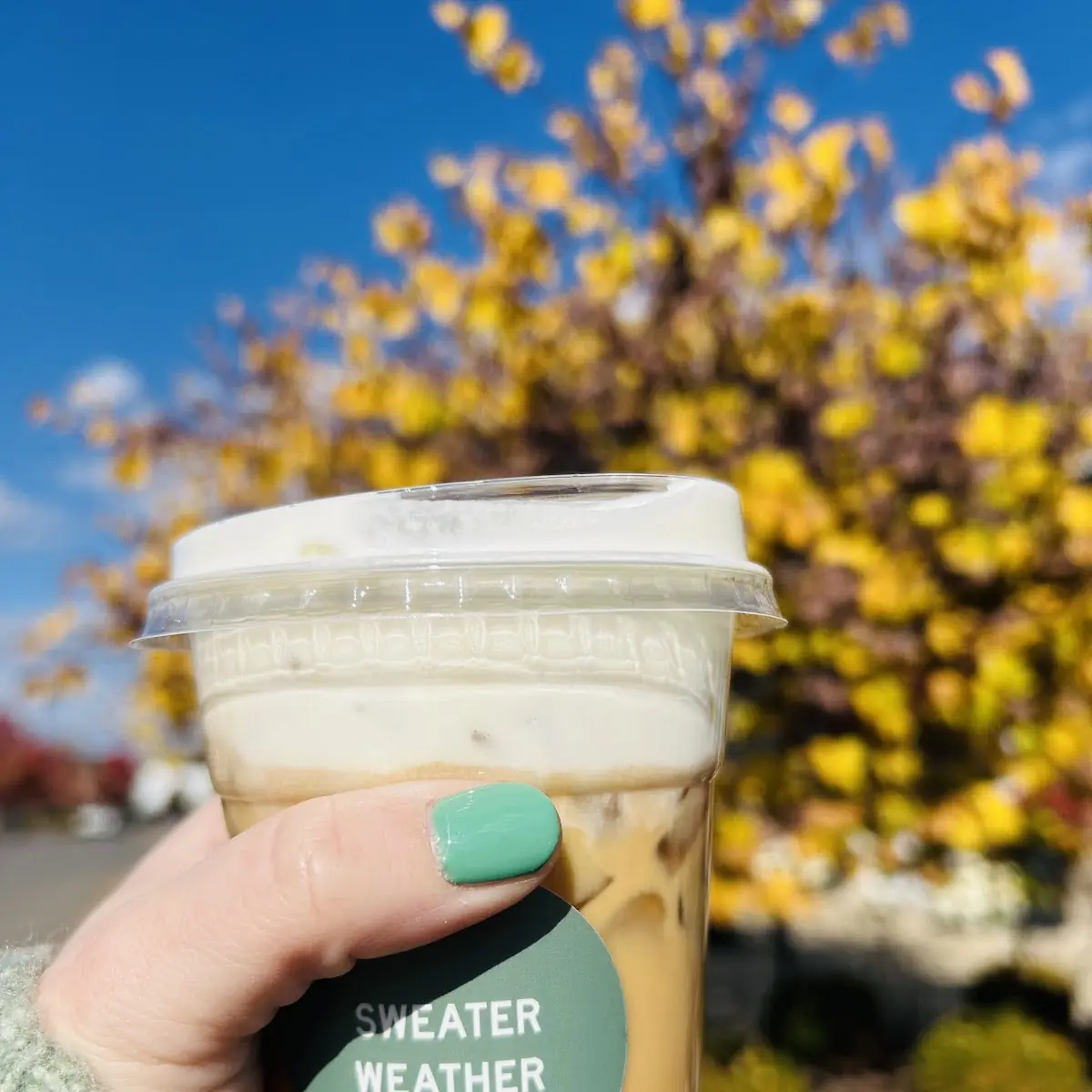 Iced Vanilla Latte