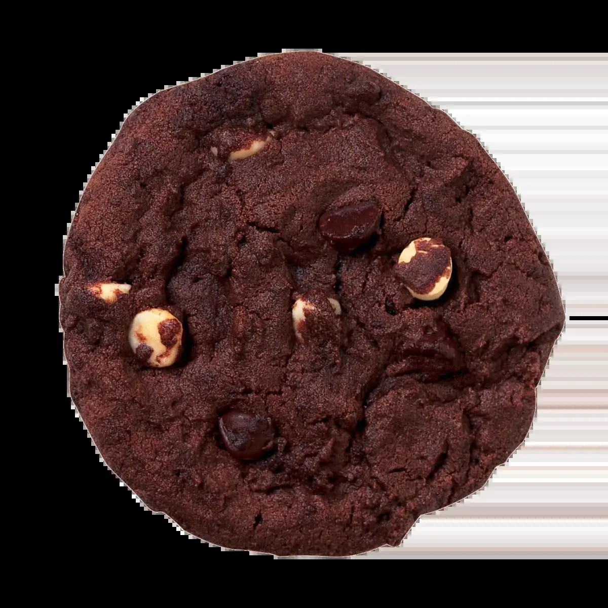 Double Chocolate Cookie