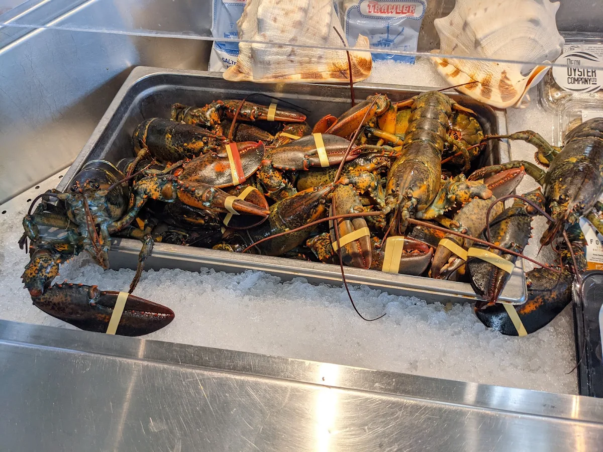 Fresh Lobster