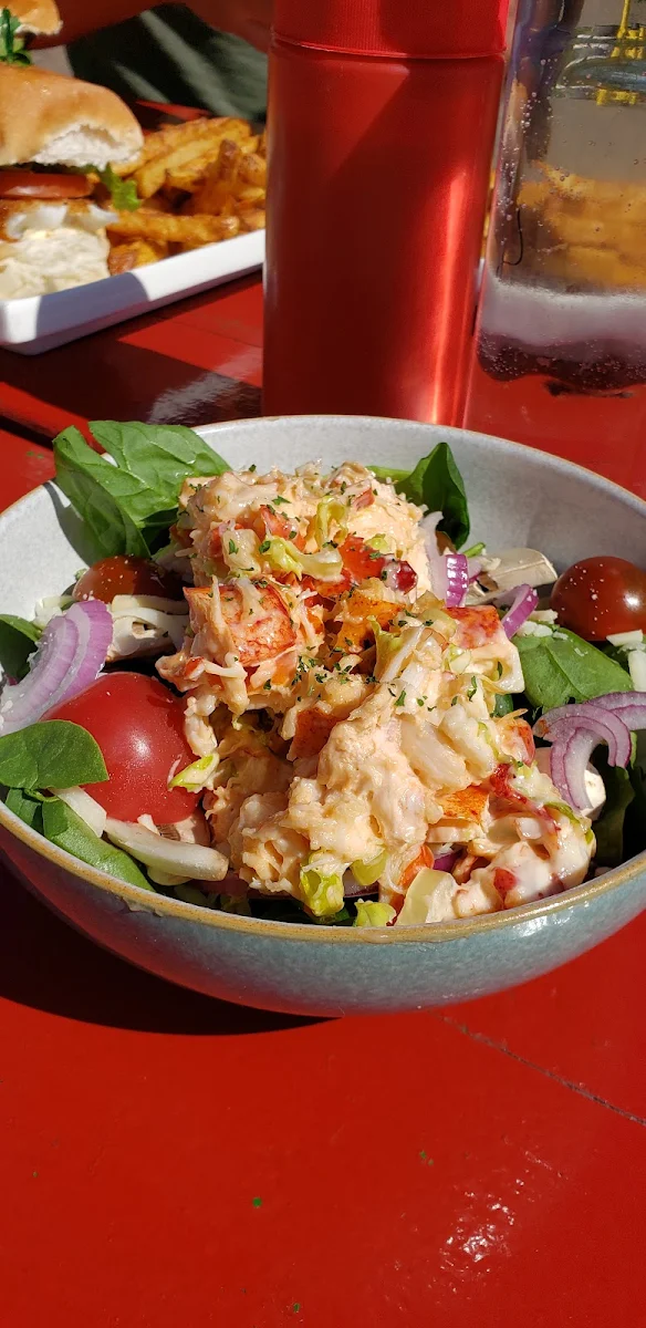 Lobster on Garden Salad & Mozzarella