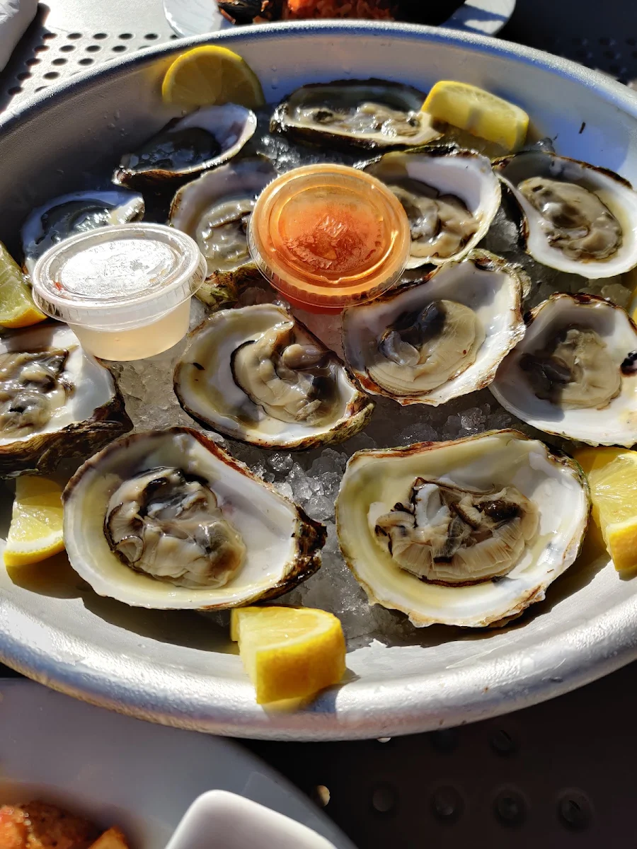 Oysters