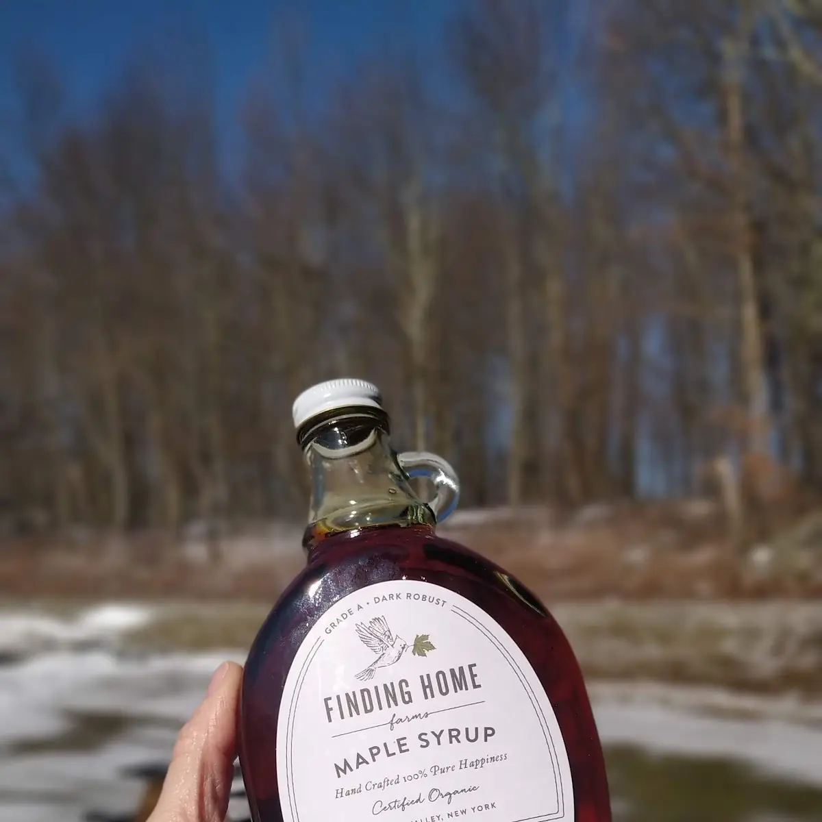 Maple Syrup