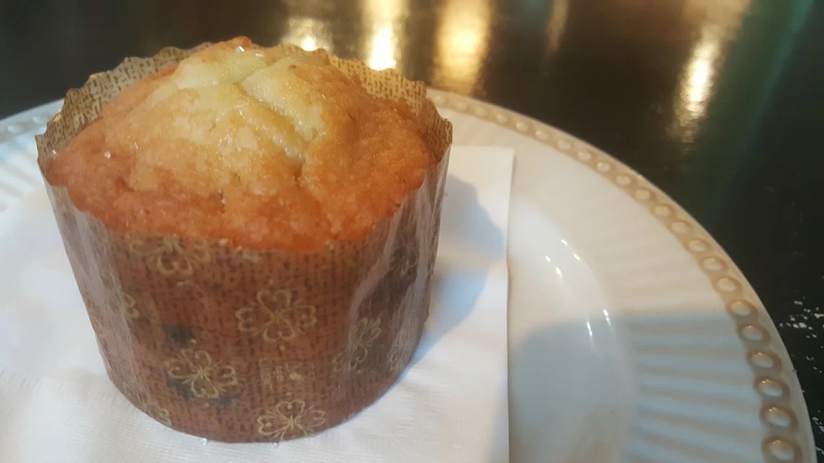 Chocolate Chip Muffin