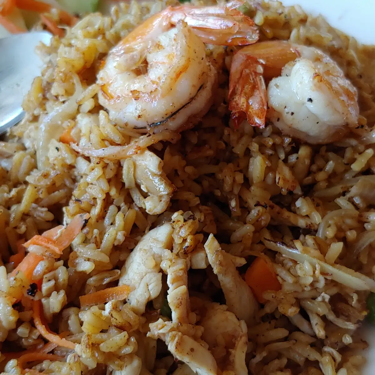 Chicken and Shrimp Fried Rice