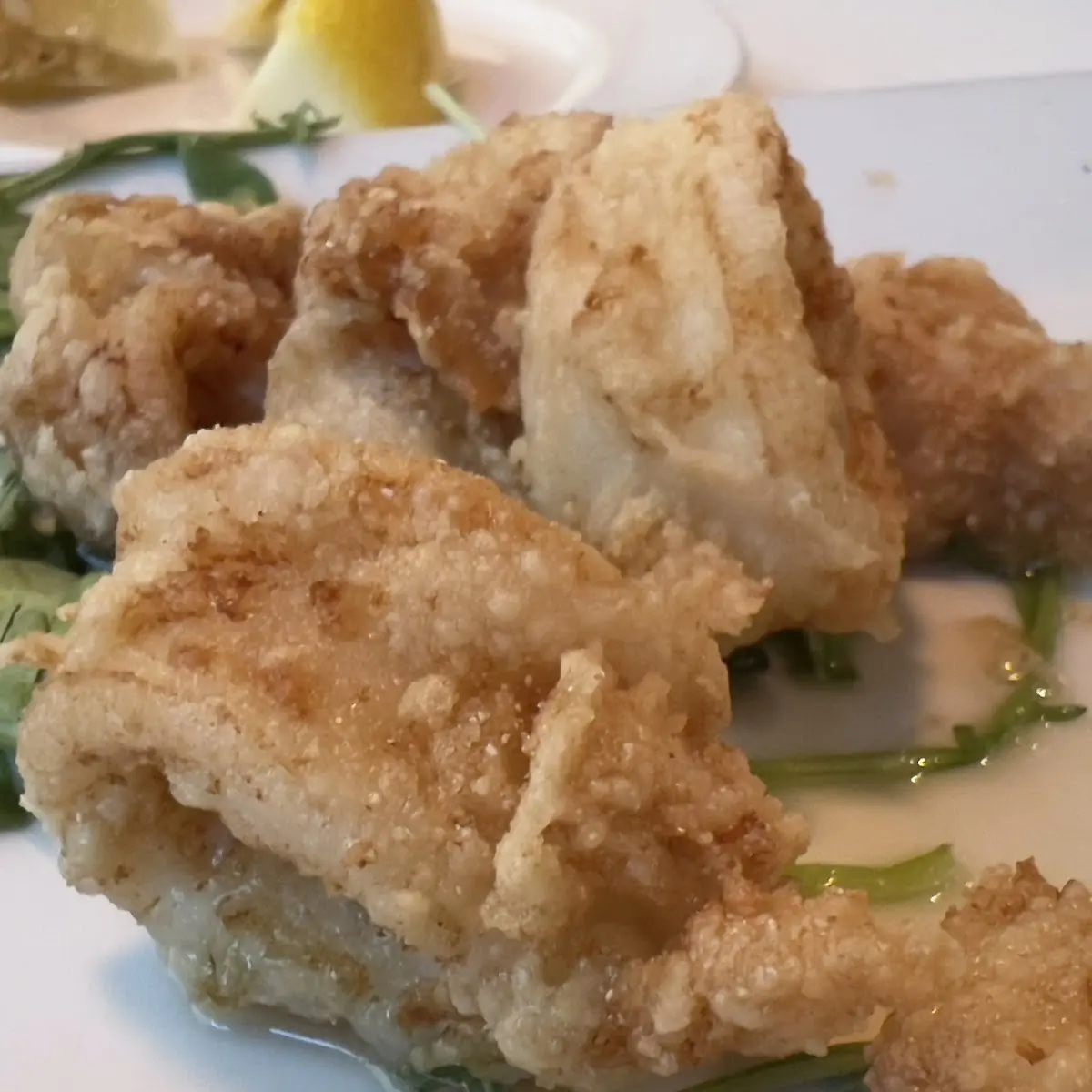 Fried Calamari