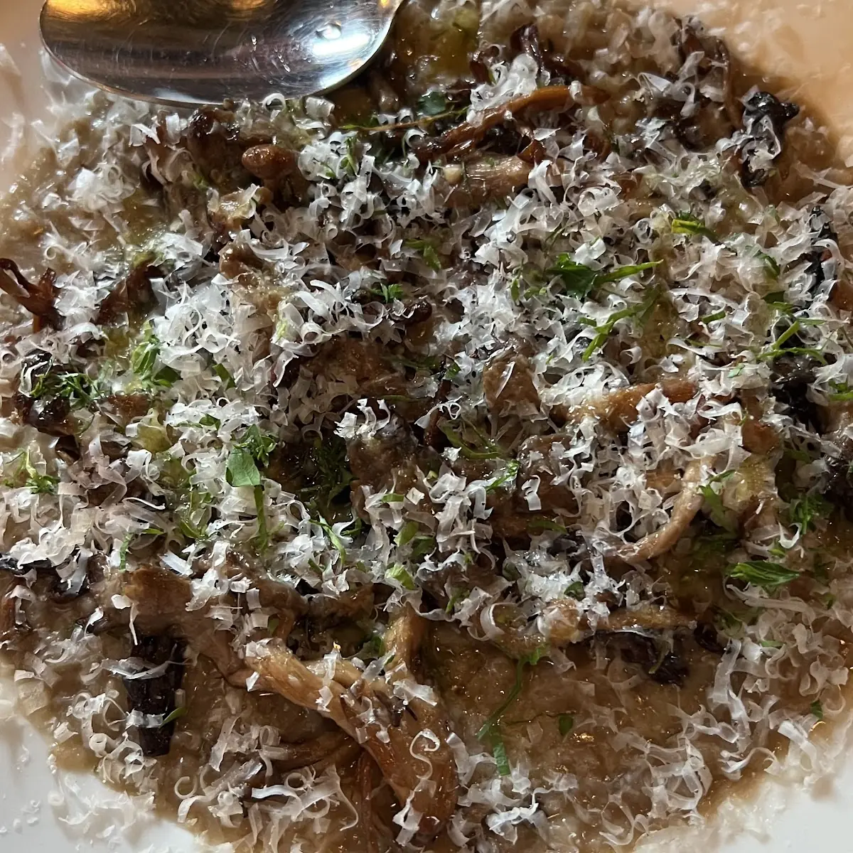 Mushroom Risotto