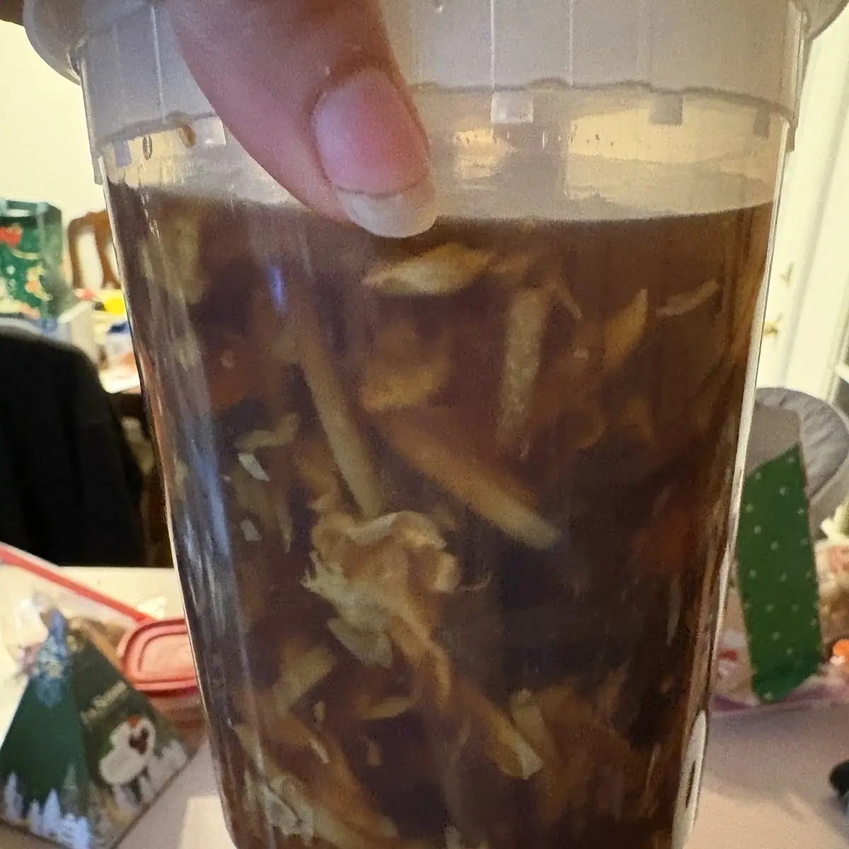Hot and Sour Soup
