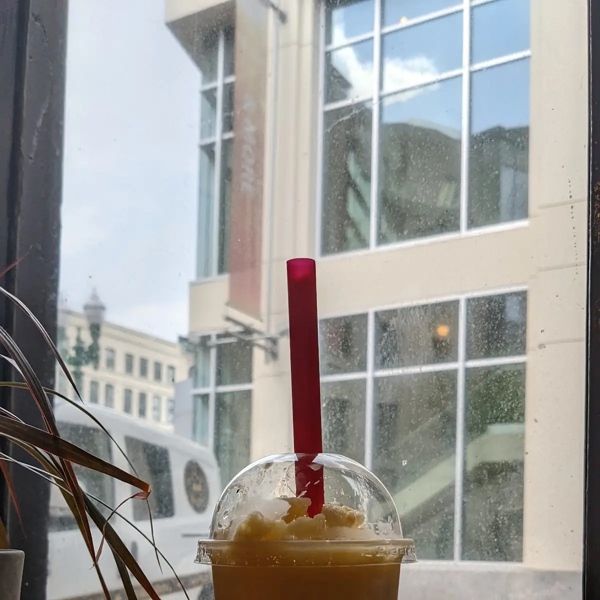Mango Slush