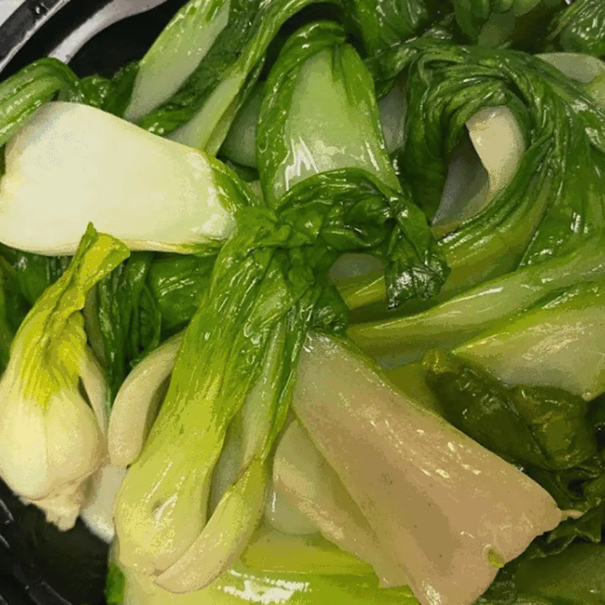 Shanghai Bok Choy