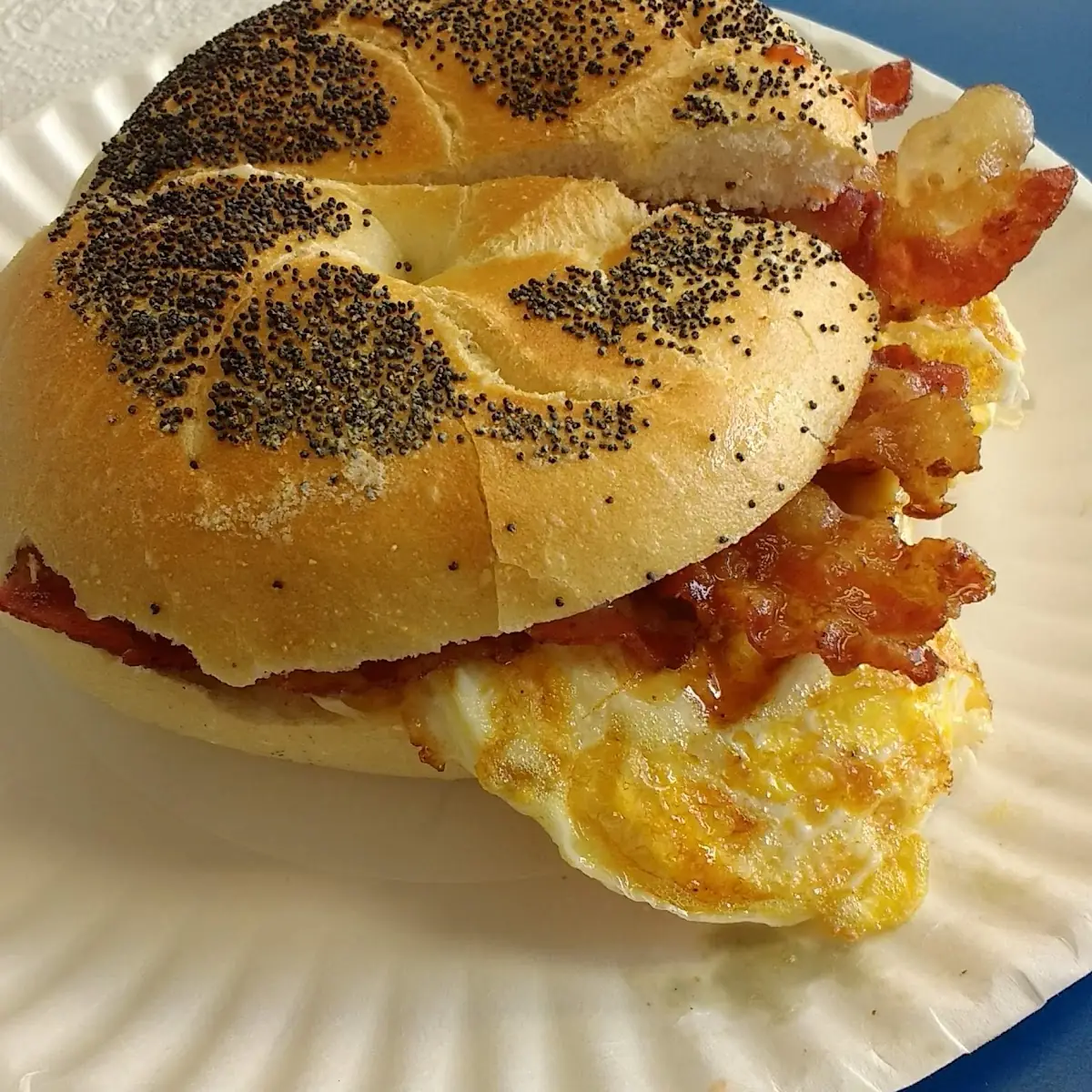 Bacon Egg Cheese