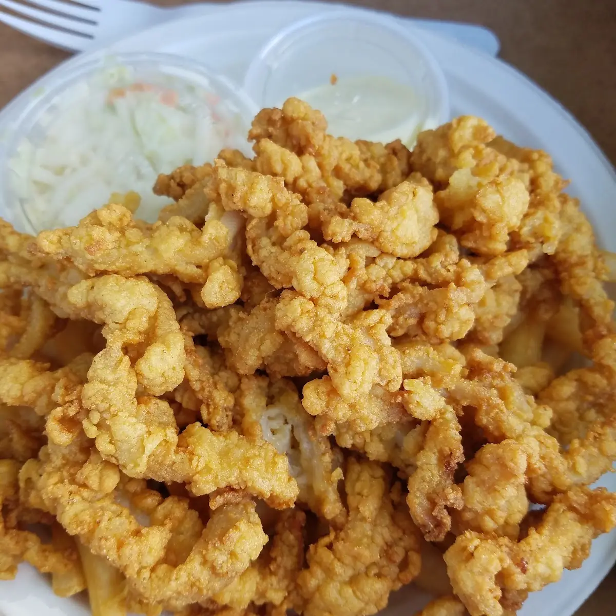 Fried Clam Strips