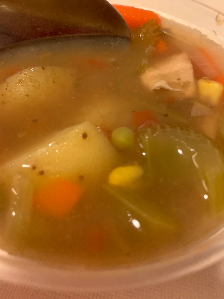 Homemade Chicken & Vegetable Soup