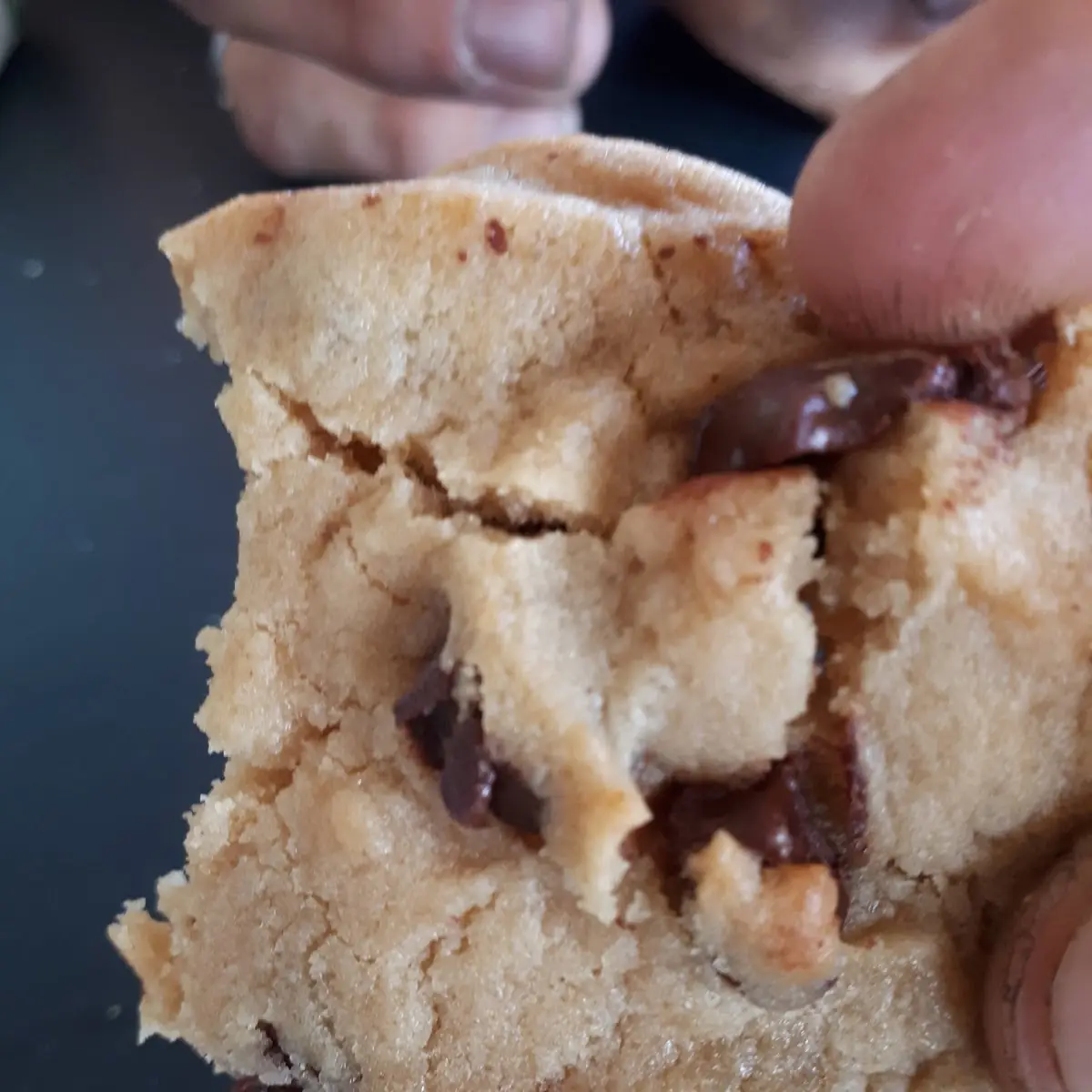 Chocolate Chunk Cookie