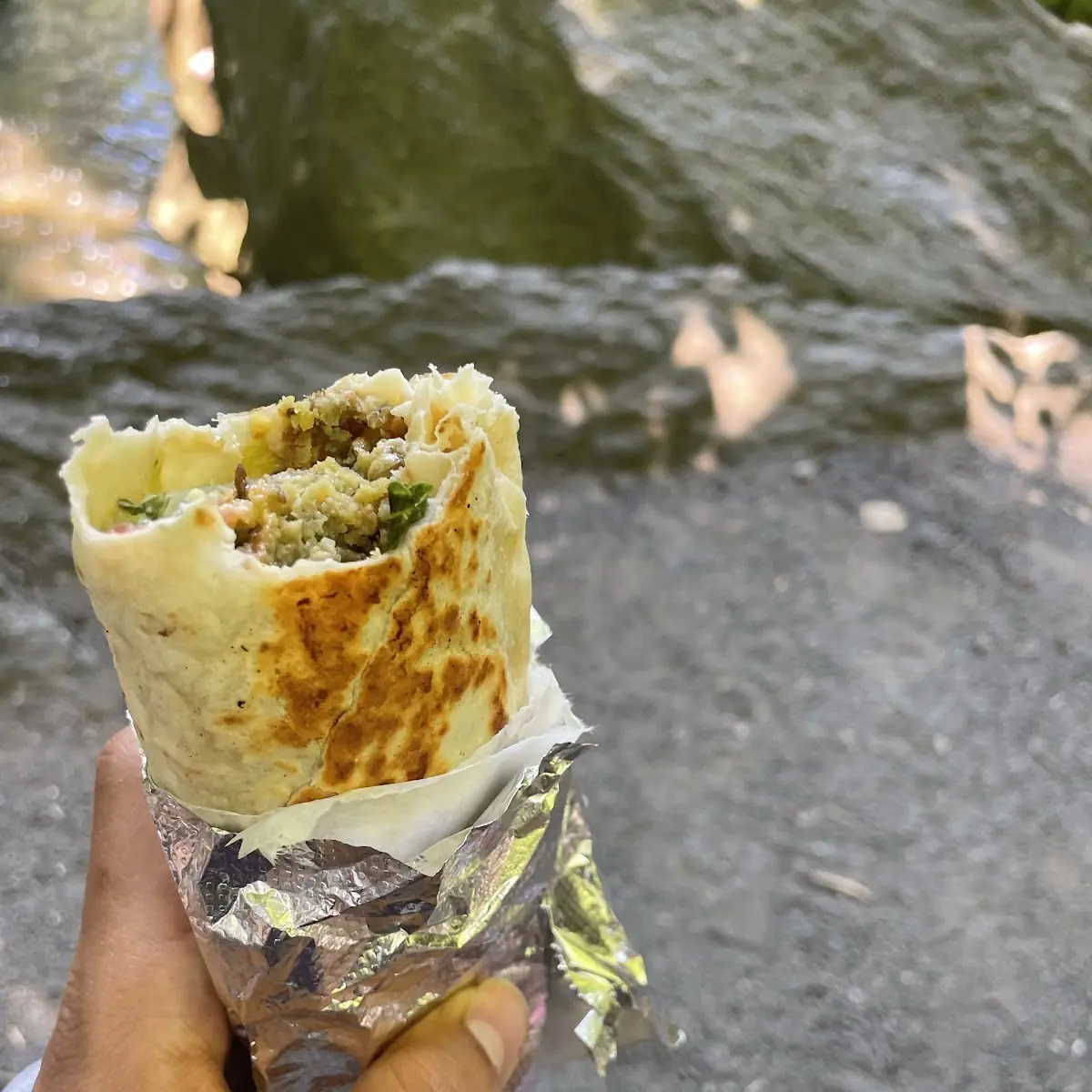 Falafel Wrap