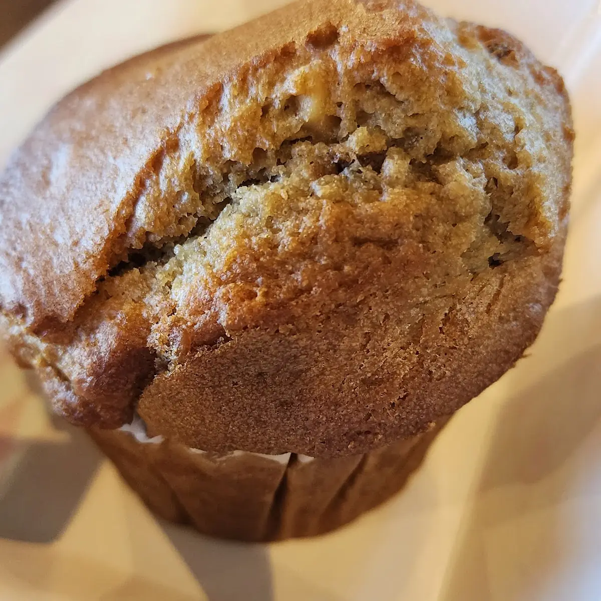 Apple Cinnamon Muffin