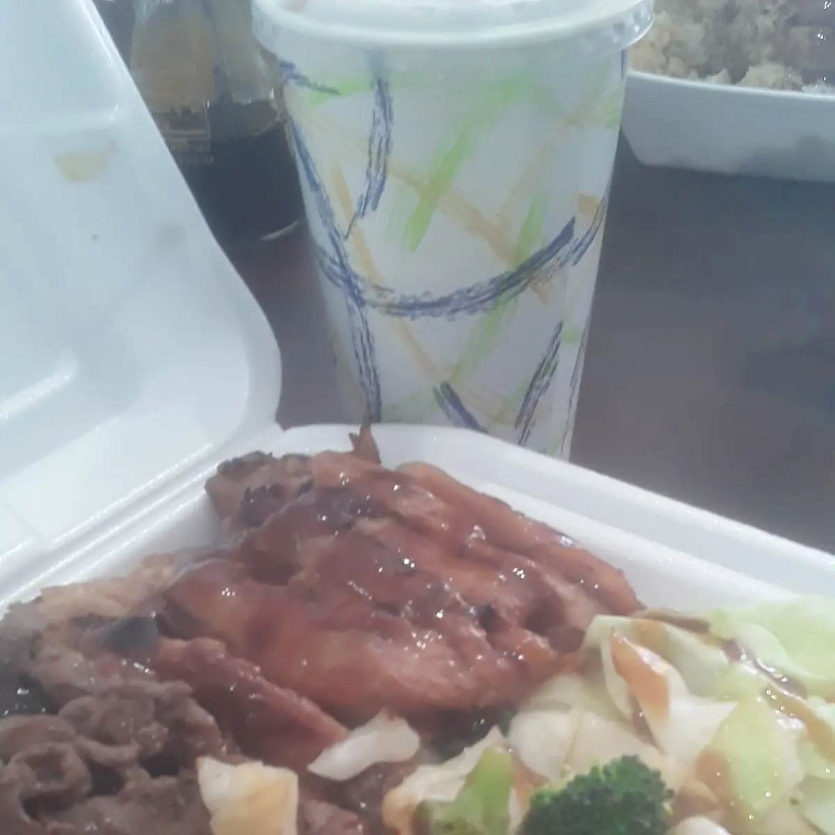 Beef and Chicken Teriyaki