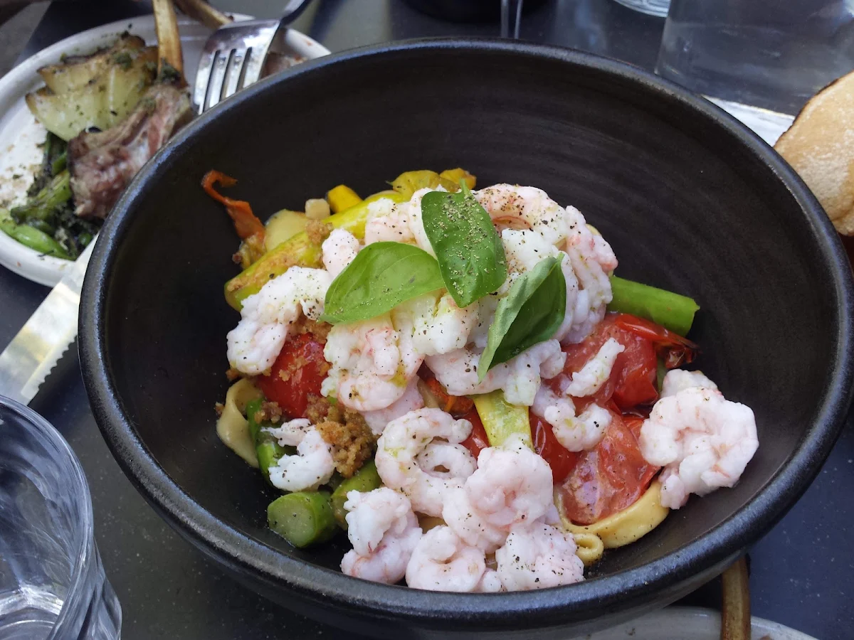 Salad Shrimp, ALMA