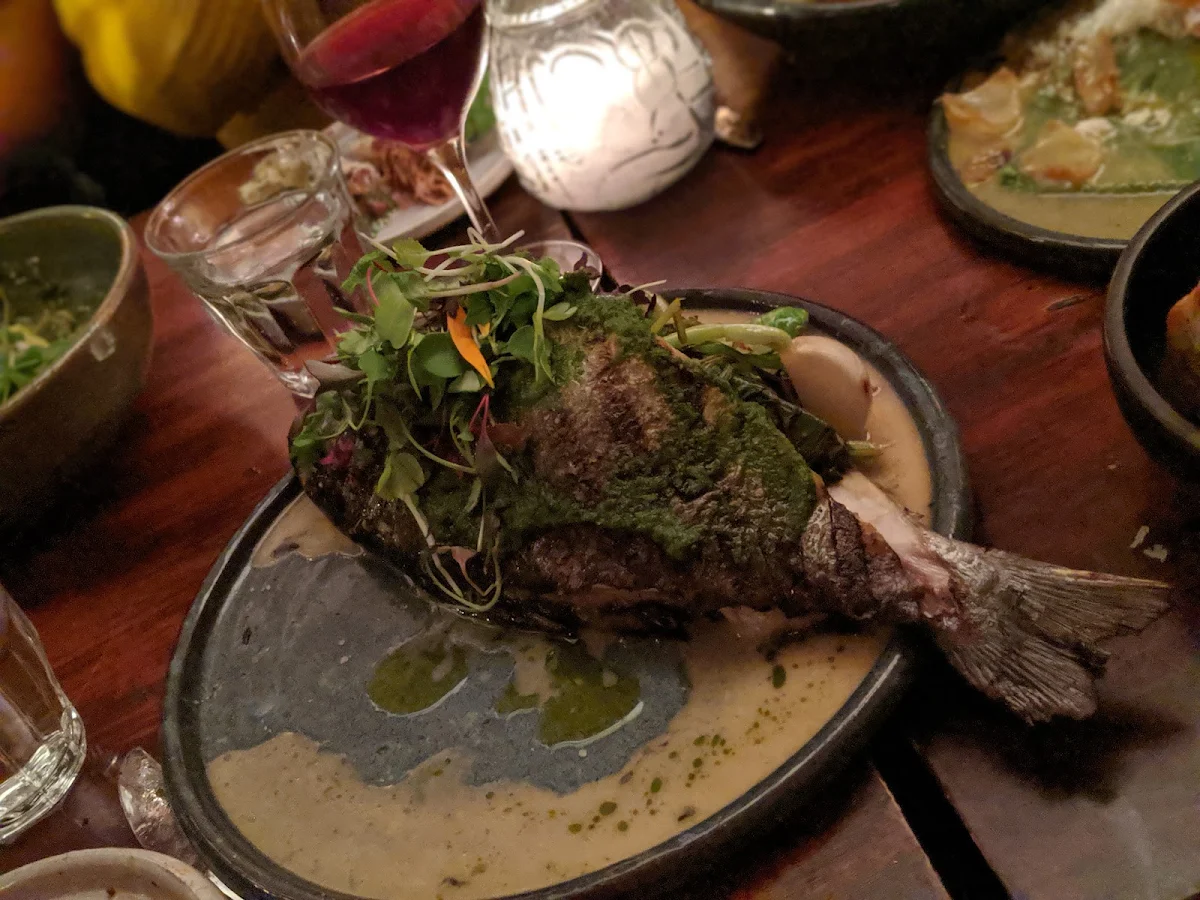 Whole Fish, ALMA