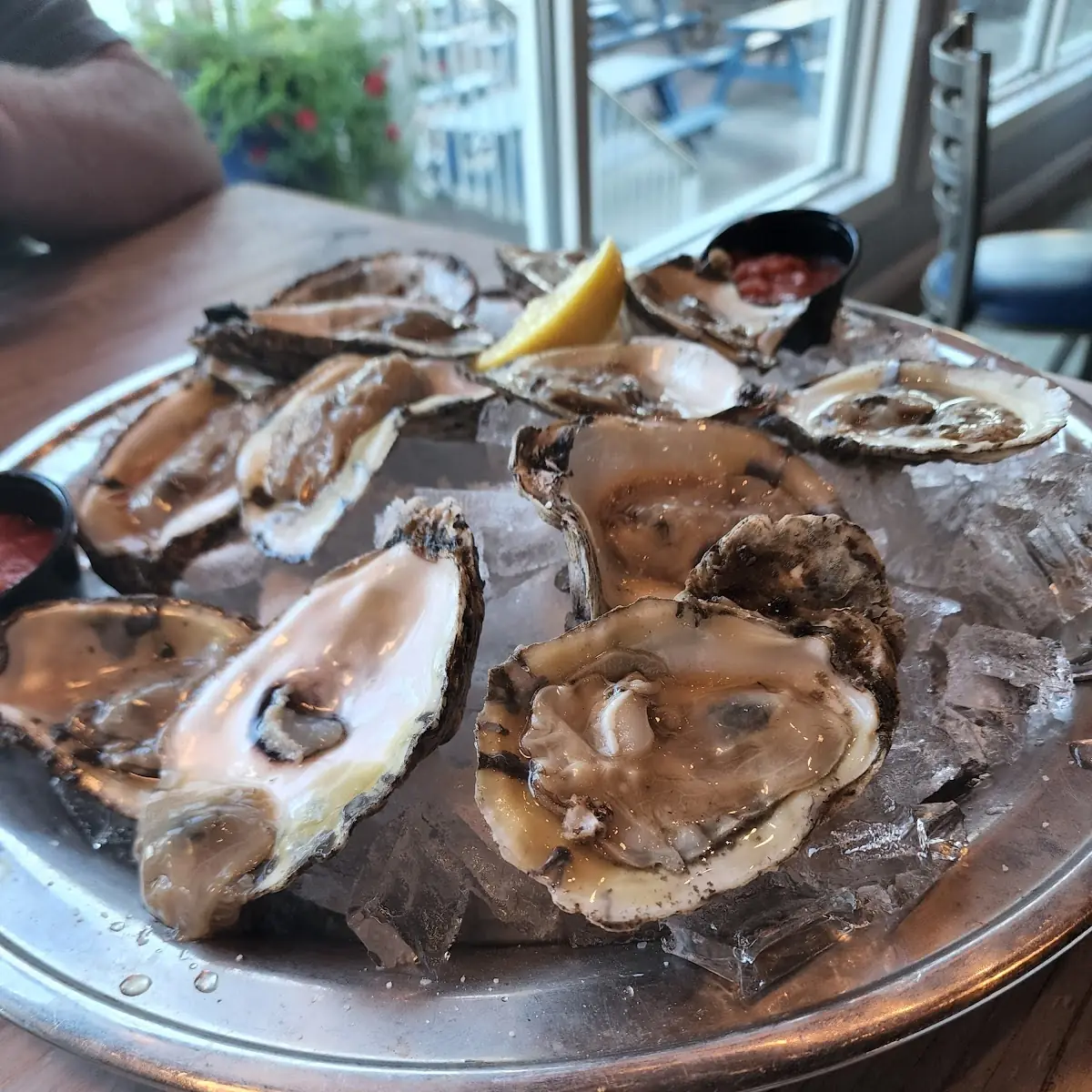 Dozen Oysters