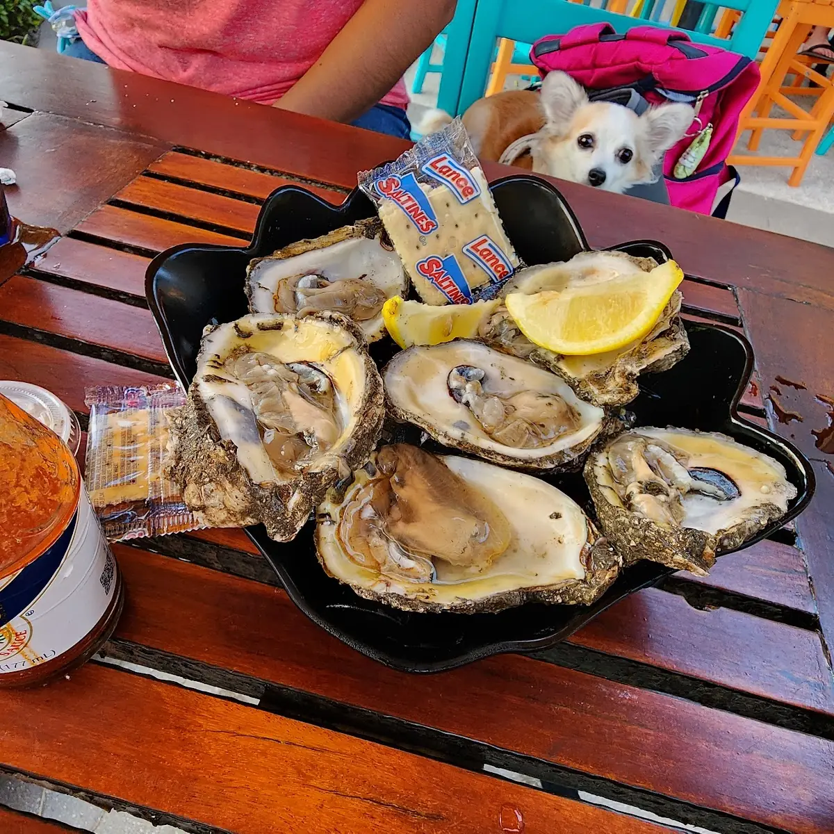 Oysters on the Half Shell
