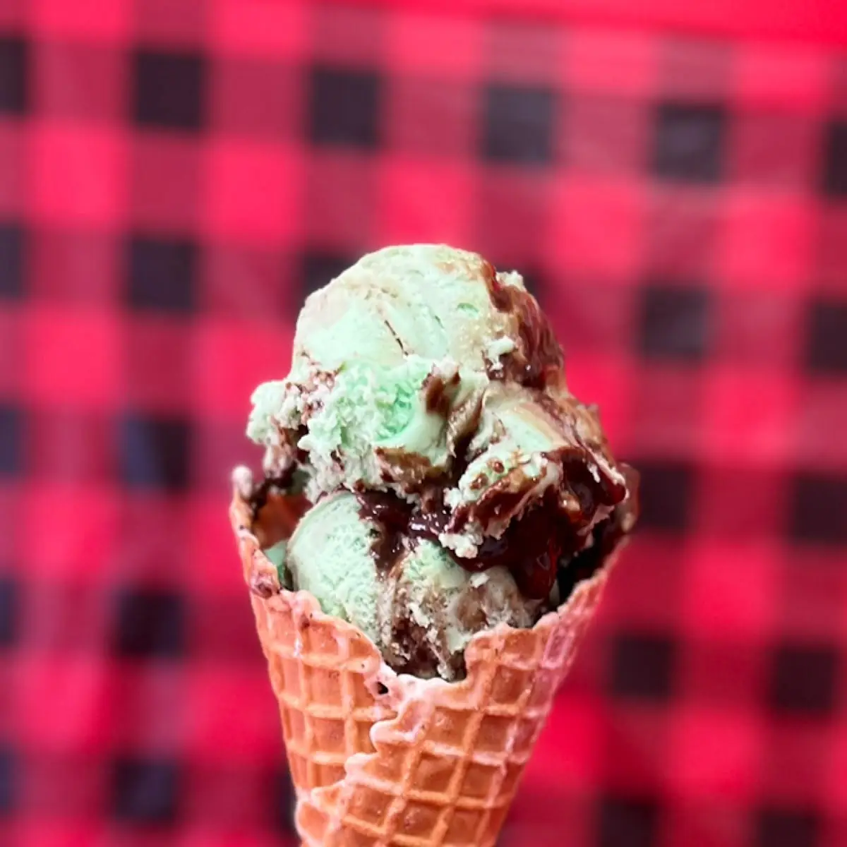 Mint Chocolate Chip