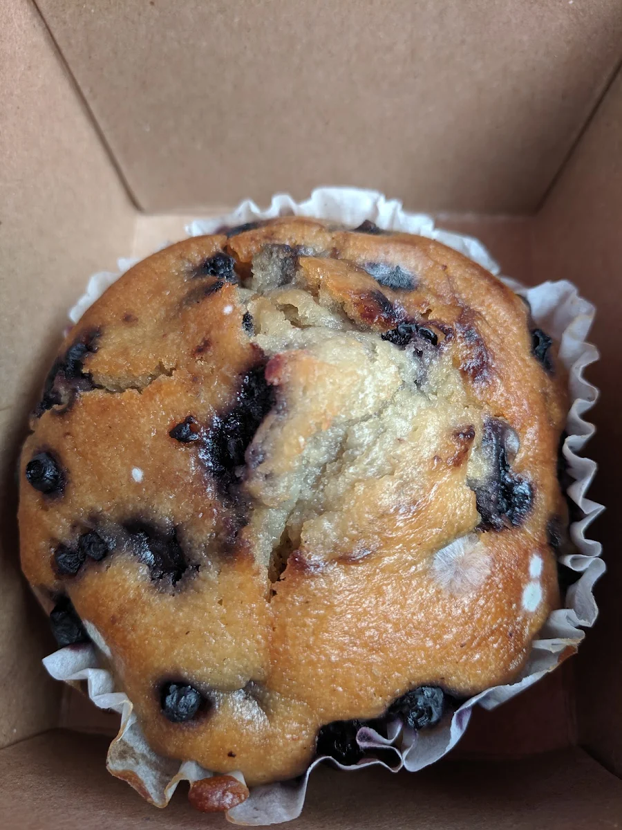 Blueberry Muffin