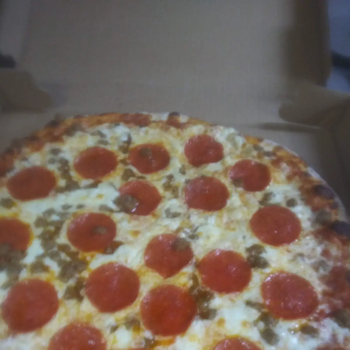 Sausage and Pepperoni Pizza