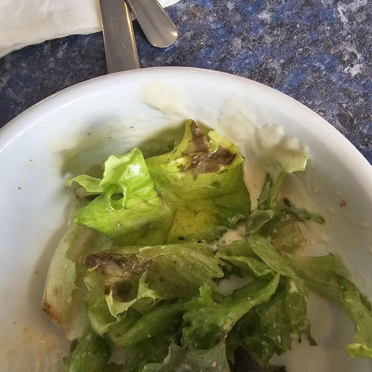 Caesar, Clifton Hill Family Restaurant