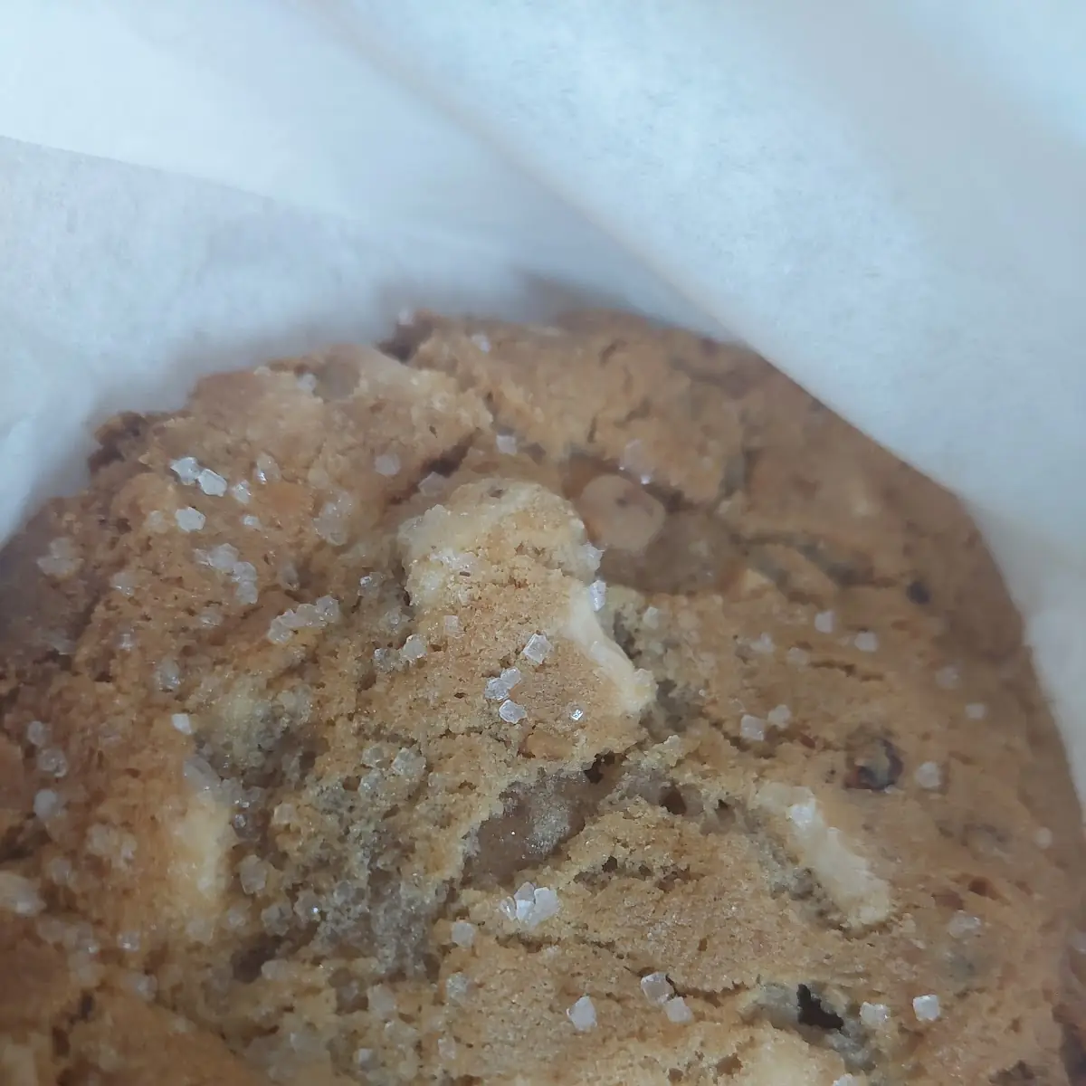 White Chocolate Chunk Cookie