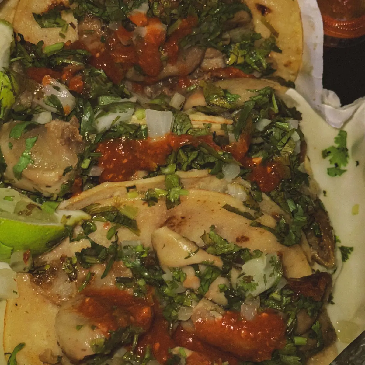 Tacos de Tripa