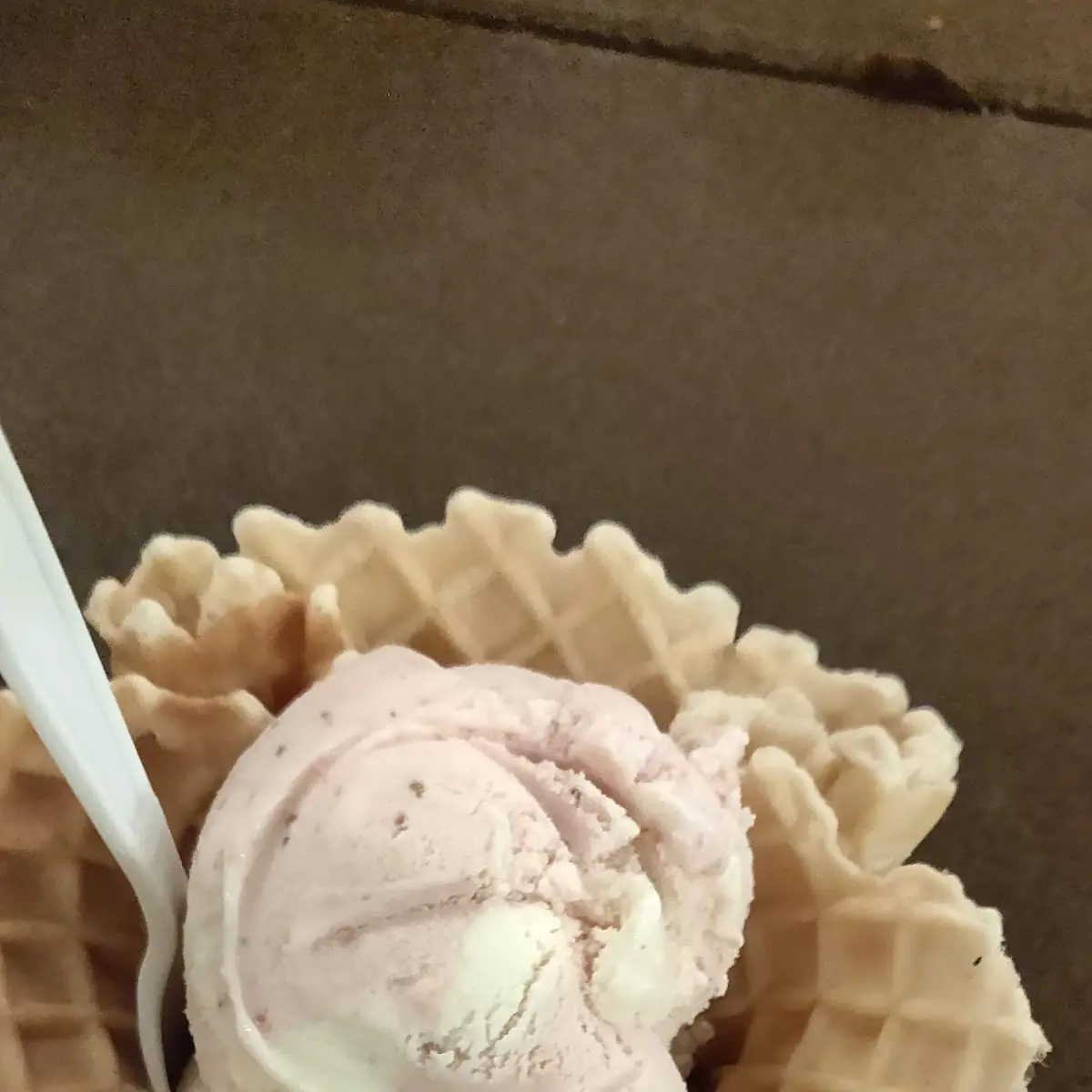 Gelato