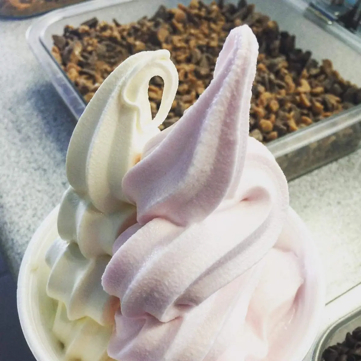 Custard and Tart Black Cherry