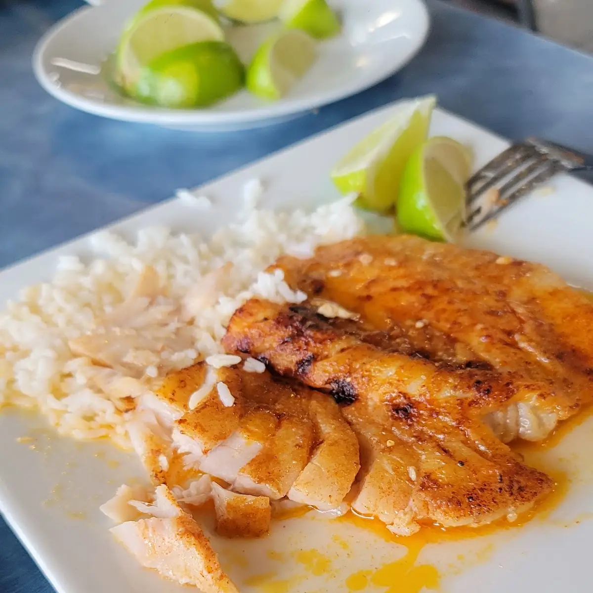 Tilapia Fillet