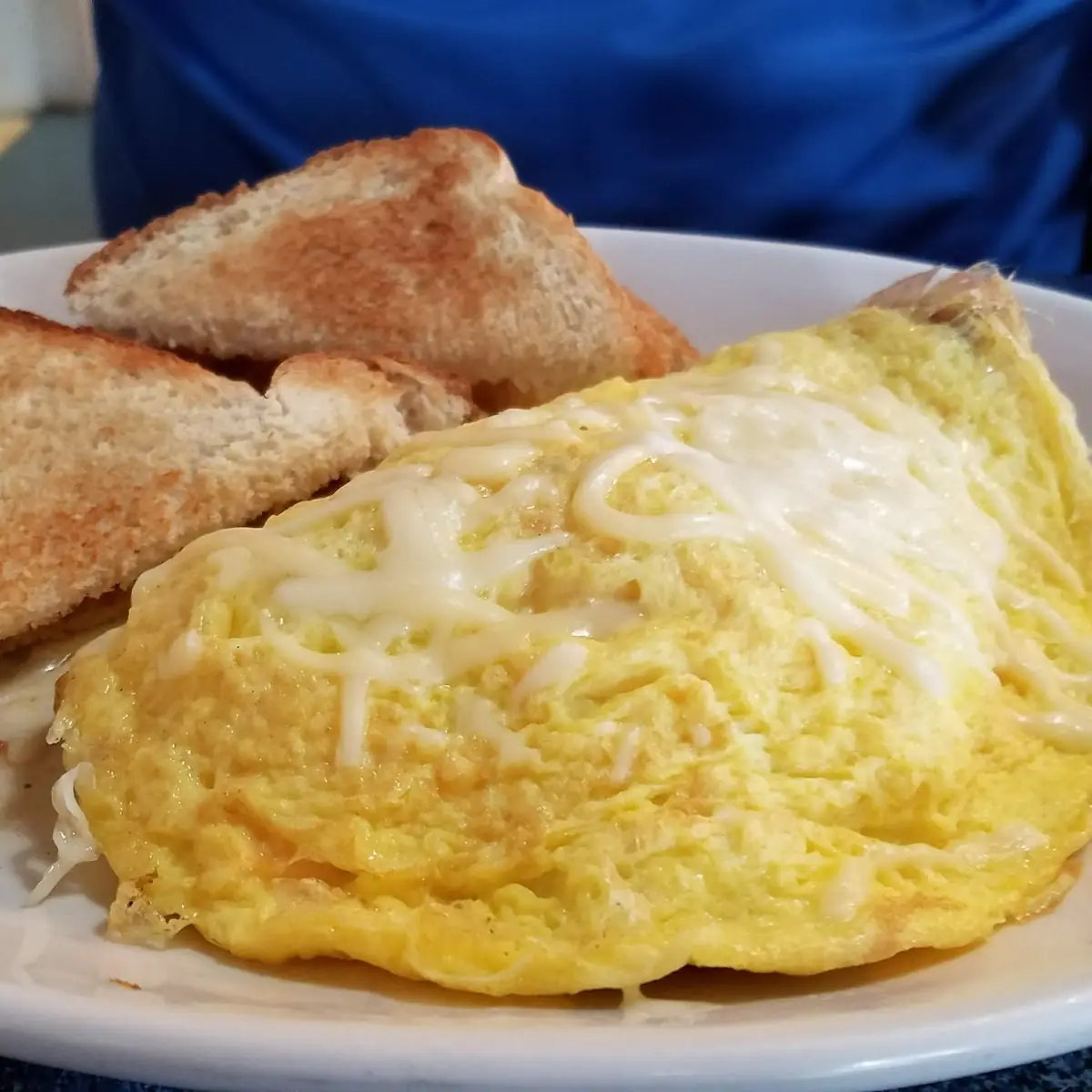 Cheese Omelette