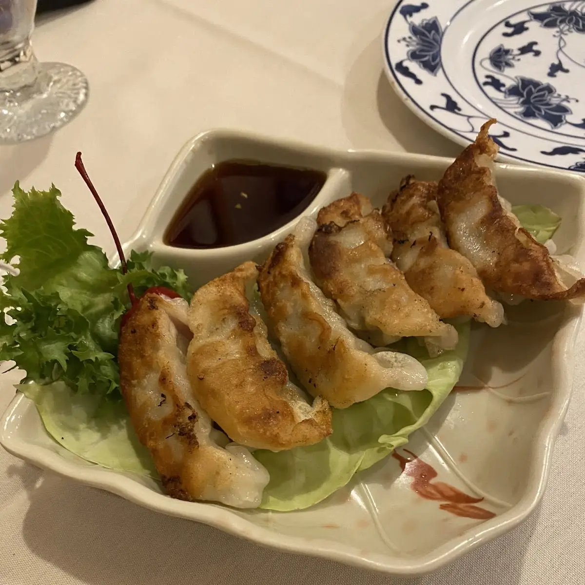 Veg Spring Roll