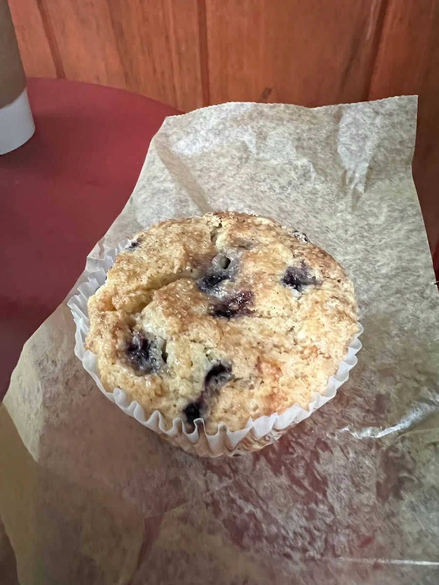 Vegan Blueberry Muffin